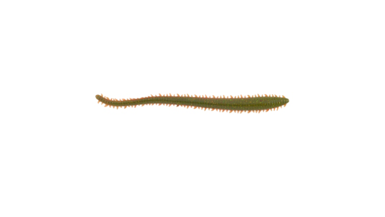 Berkley Gulp Sandworm - GSSW6-C