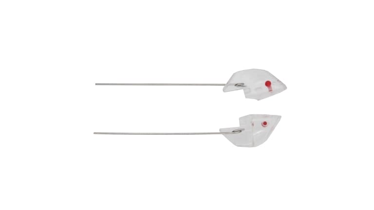 Trinidad Anchovy Heads - Unrigged - 6487