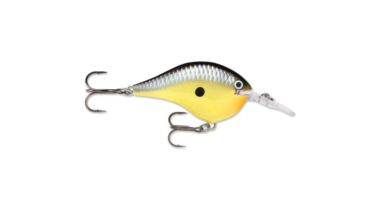 Rapala DT Series Crankbait - DT06OLSL