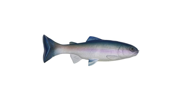 Huddleston 68 Special Swimbait - H