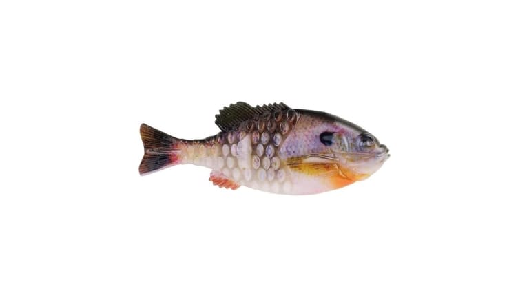 Berkley PowerBait Gilly - HDBLG