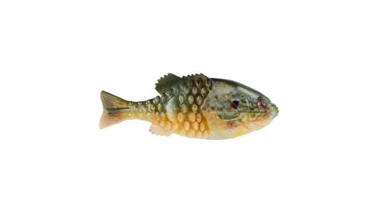 Berkley PowerBait Gilly - HDPMP