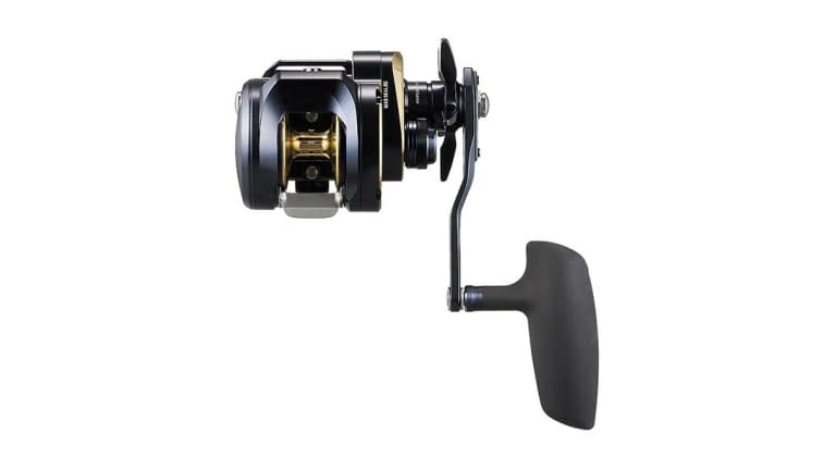 Daiwa Saltiga 300 Jigging Star Drag Reels - SAG300-topdown_900x-ezgif.com-webp-to-jpg-converter (1)