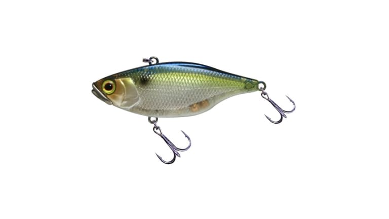 Jackall TN60 Lipless Crankbait - SGTH