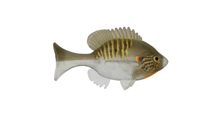 Sudden Impact Suzygill Bluegill Lil Gill - 18