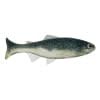 Anglers King Sugar Shaker Trout - Style: 067