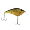 Berkley Frittside - Style: HDGRC