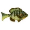 Sudden Impact Suzygill Bluegill Lil Gill - Style: BB