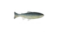 Anglers King Sugar Shaker Trout - SS575JR-080 - Thumbnail