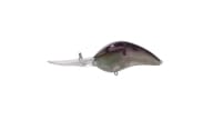 Bill Lewis DR24 Crankbait - 1002 - Thumbnail