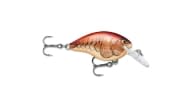 Rapala DT Series Crankbait - DT04MULE - Thumbnail