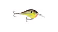 Rapala DT Series Crankbait - DT06HM - Thumbnail