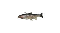 Huddleston Deluxe 8" Trout - HB - Thumbnail