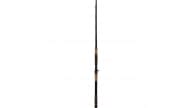 Phenix Black Diamond Hybrid Inshore Rods - Thumbnail