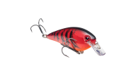 Strike King KVD Square Bill