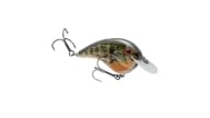 Strike King Chick Magnet Crankbait - 663 - Thumbnail