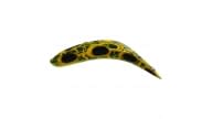 Worden's Flatfish F4 - FR - Thumbnail