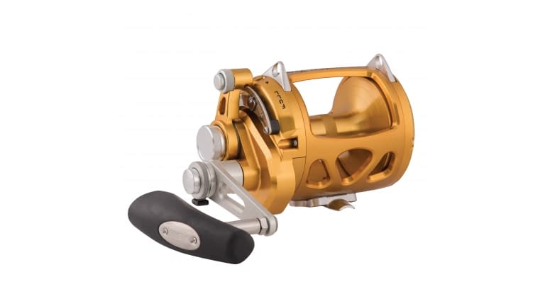 Penn International Visw Reel