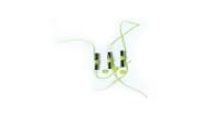 Eagle Claw Bobber Stops With Beads